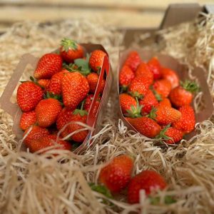 Fraise barquette SELON saison (Dream)