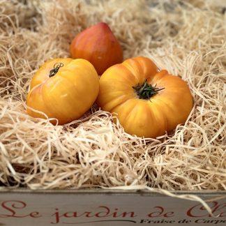 Tomate ancienne mixte prix au kg