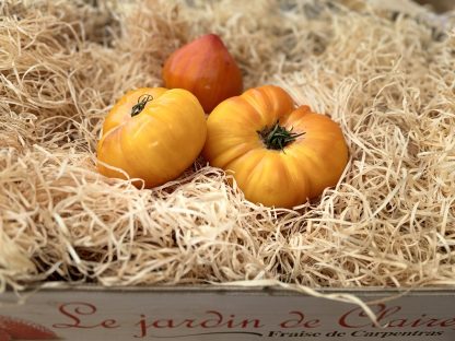 Tomate ancienne mixte prix au kg