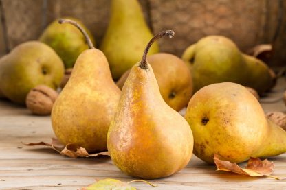 Poire selon variété